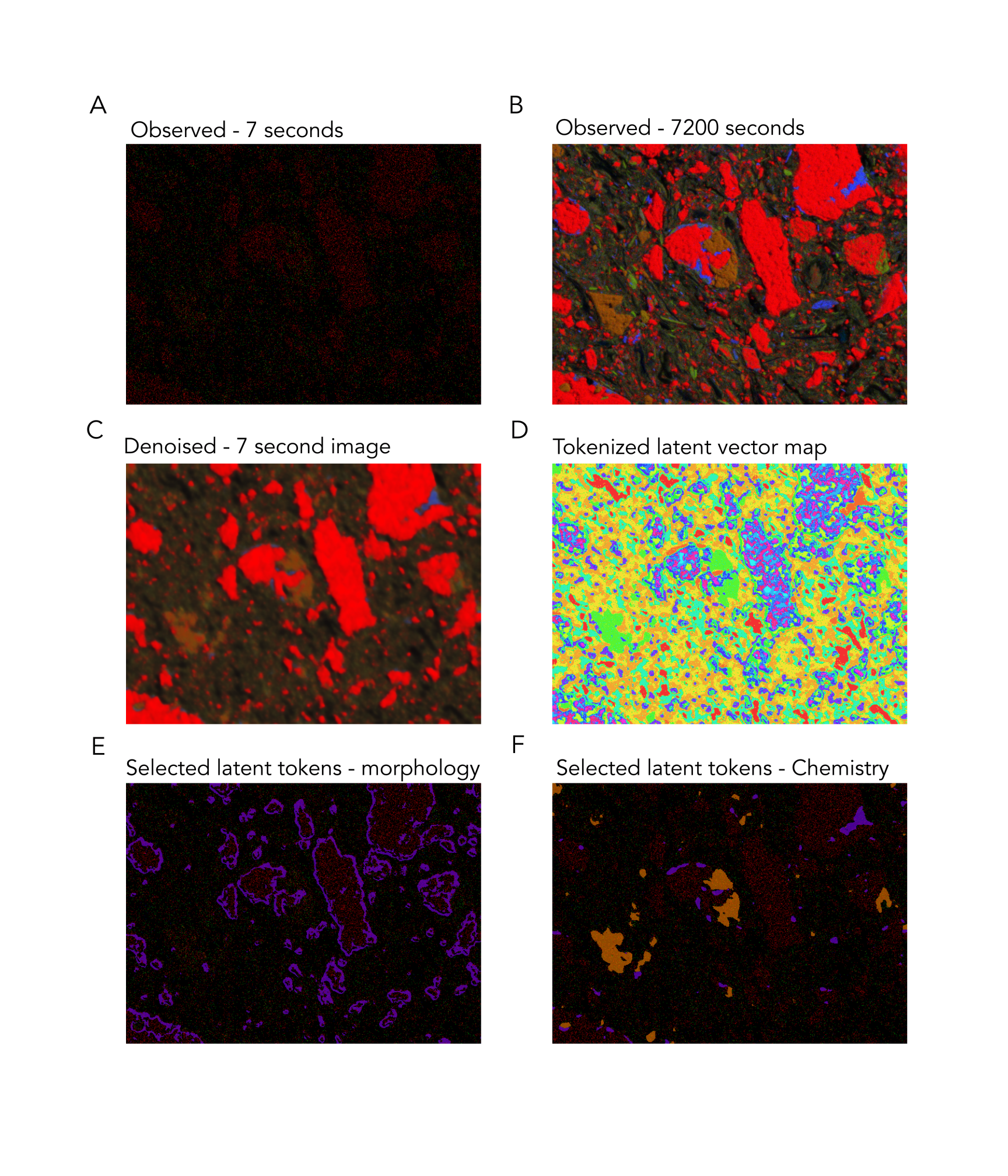 SEM-EDX latents
